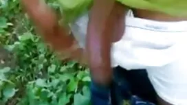 ইনসেক্স-চরম ফিড-3য়  ...