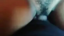 হার্ডকোর, সেক্সি মুভ ...