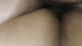 তারকা যৌন্য উত্তেজক  ...