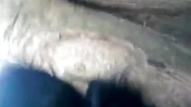 হার্ডকোর, ধর্ষণ, রুক ...