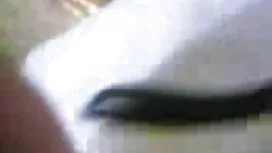বিষন্ন বৃত্ত 6 এক্স  ...