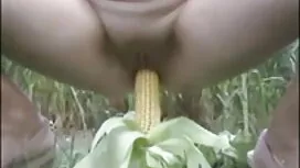 নিকি প্রিয়তম, এবিগে ...