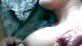 ইনসেক্স-রোস্ট প্রত্য ...