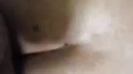 এইচটি-সংকীর্তন-সিমন  ...