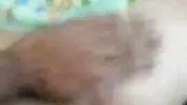 ফোয়ারা ফোয়ারা ভোজপ ...